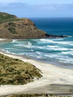 Sandfly Bay, Otago, South Island, New Zealand, Oceania