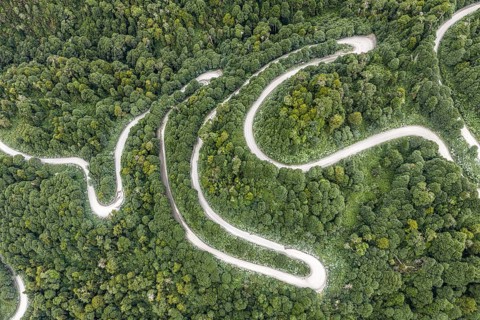 Aerial view of a winding road (Carretera Austral) through dense forest, south of Puyuhuapi, Aysén