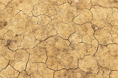 Dry soil, global warming, global warming, Moreton-in-Marsh, Cotswolds, England, Great Britain
