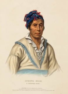 Spring Frog. A Cherokee Chief (1838), Native American, Historical Native American tribes from North