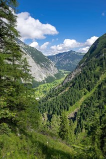 Großer Ahornboden in summer, seen from the path to the Binsalm, Karwendel Mountains, Tyrol, Austria