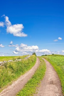 Dirt road with a grass shoulder on a hill in the countryside with a blue sky a sunny summer day,