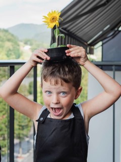 A cheerful young boy wearing a black apron lifts a potted sunflower above his head, standing on a