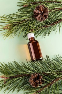 Top view of a brown glass bottle containing essential oil, situated among vibrant green pine
