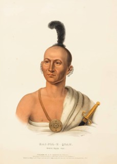 Kai-Pol-E-Quah, White Nosed Fox (ca. 1836), Native American, Historical Native American tribes from