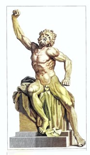 Front view of the Laconian statue in the Vatican, viewed anatomically, classical statue of a naked