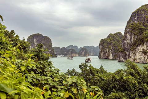 Several boats sail in the sea between green islands and rocks, The landscape and islands of Halong