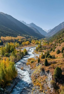 Aerial view, mountain stream Ala Archa flows through the Ala Archa valley, autumnal mountain