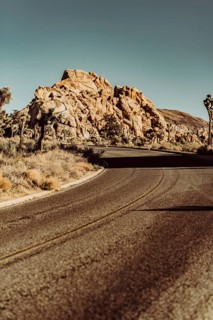 Joshua Tree National Park