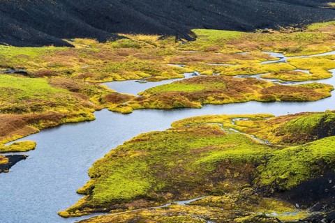 This image showcases the vibrant textures of an Icelandic river landscape. The vivid green moss