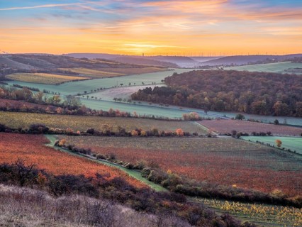 View over colourful vineyards in the Unstrut valley in autumn at dawn, Saale-Unstrut wine-growing