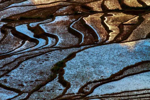 Celestial Stairs — The Yuanyang Rice Terraces in Yunnan, China, carved by the Hani people over 1,