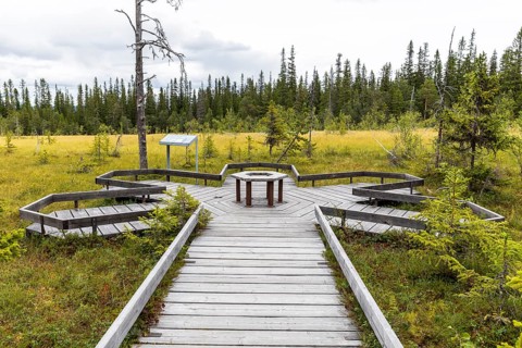 The hiking trail leads over a boardwalk through the high moor in Fulufjället National Park near