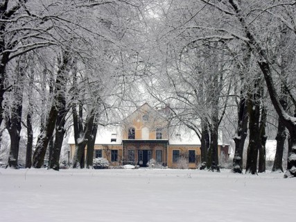 Winter lime tree avenue (Tilia) with an Art Nouveau villa built around 1900, Rögnitz,