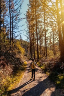 A young woman in an autumn sunset on a path through a beautiful forest, getting to know nature
