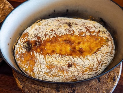 Freshly baked rustic bread rests in a cast iron pot, showcasing a golden crust. The wooden