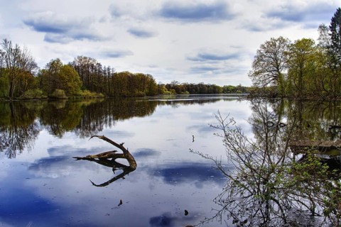 Broad lake (De Wittsee) with reflection of the sky, framed by trees in a spring landscape,