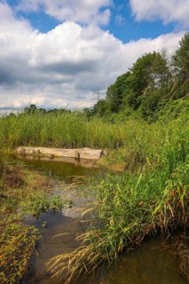 Bottrop, North Rhine-Westphalia, Germany - Renaturalised Boye, the tributary of the Emscher, was