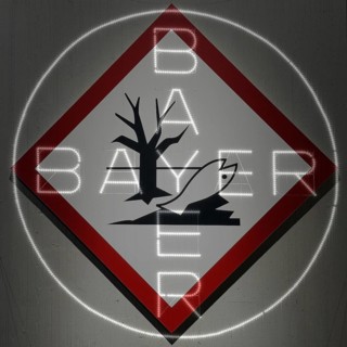 Photo montage, The dangerous goods symbol tree, fish, water, environment, GHS-09 warns of