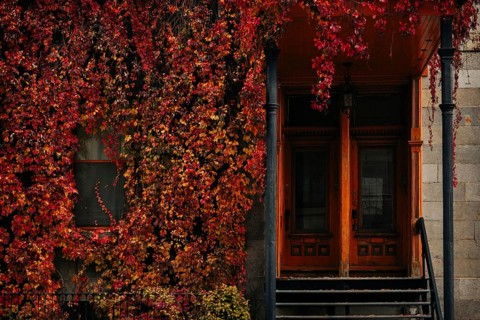 Vibrant red and orange autumn leaves cascade around a rustic wooden door in Montreal, capturing the