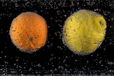 Lemon (Citrus × limon), mandarin (Citrus reticulata), with air bubbles in the water, Germany