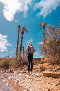 Traveler with a backpack explores a desert landscape dotted with tall palm trees under a clear blue