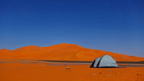Single tent in a silent desert under a starry sky, tent camp in the dunes of the Sahara in Algeria