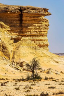 Eroded rocky landscape at a fossilised reef edge, with sparse vegetation in front, Huqf stone