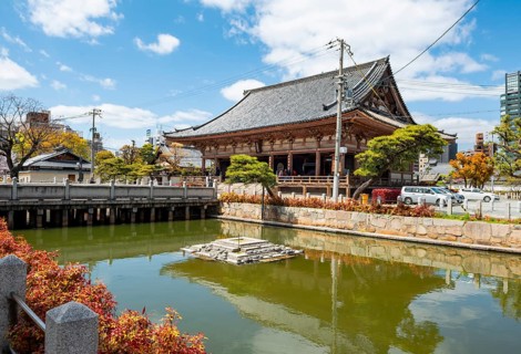 Turtle Pond, Shitennoji Temple, Buddhist Temple, Osaka, Japan