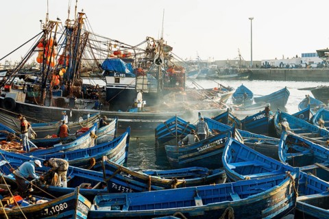 Fishing boats, fishing port, Essaouira, UNESCO World Heritage Site, Atlantic coast, Morocco