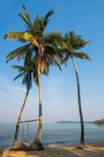 Sandy beach beach with coconut palms, Ao Noi Beach, Koh Kood, Koh Kut, Gulf of Thailand, Thailand