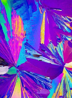 Vibrant polarized light micrograph showing Adipic acid crystals in vivid colors including pink,