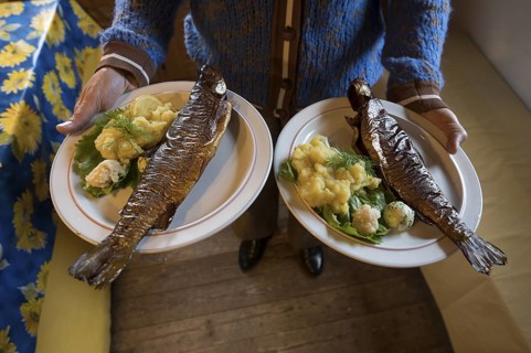 Smoked trout with potato salad is served by the waitress, Bavaria, Germany
