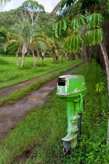 Typical individual mailbox, post, mail, communication, traditional, analogue, mailbox, post box,