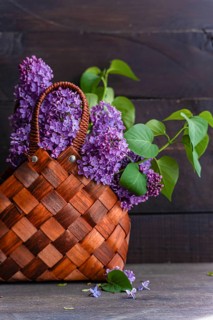 A rustic wicker basket brimming with vibrant purple lilac flowers and lush green leaves sits on a