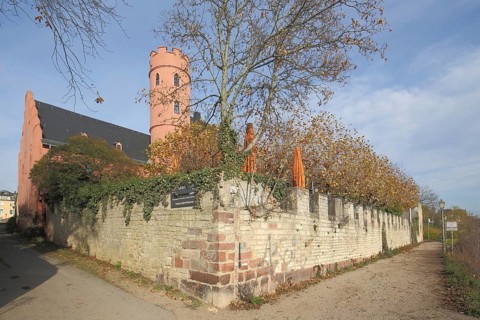 Crass Castle in autumn in Eltville im Rheingau, Taunus, Hesse, Germany