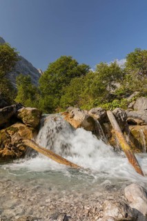 Little cascade. Nature conservancy area Grosser Ahornboden. Sycamore maple trees, Acer