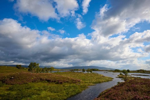 River in a vast landscape under a cloudy sky, Rannoch Moor, Bridge of Orchy, Scotland, United
