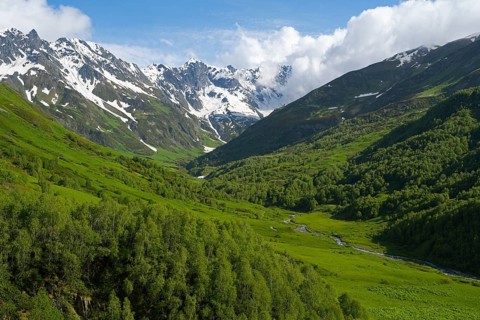 Mountainous landscape with forest, river and snow-capped peaks under blue sky, Zagari Pass,
