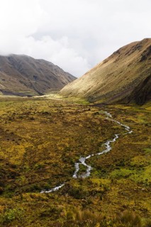 A meandering stream flows through a vast Andean valley at El Altar volcano, Ecuador, surrounded by