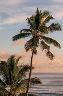 Anse La Liberte beach, Mahe, Republic of Seychelles, Indian Ocean