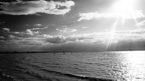 Sun-drenched seascape with sailboats and light breeze, monochrome, Lake Neusiedl, Austria