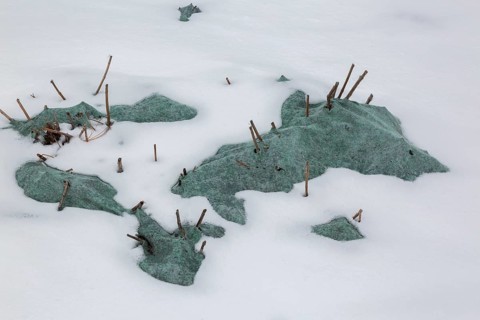 Close-up of cutback perennial plant stalks protected with green insulating fabric in border covered