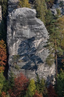 Trees growing on rocks. Fall foliage in the bohemian paradise. Prachov Rocks (Czech: Prachovské
