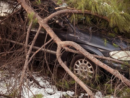A somber scene of a car trapped under a tree, with branches and snow surrounding it, illustrating