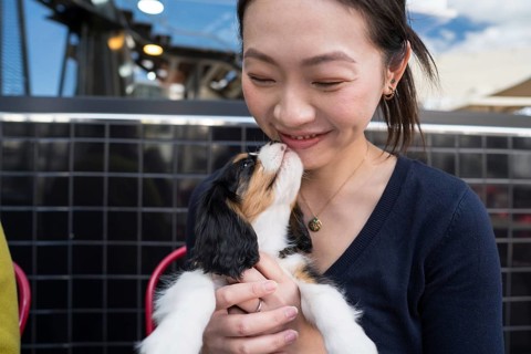 An Asian woman smiles warmly at her adorable dog while sitting at an outdoor restaurant. She holds