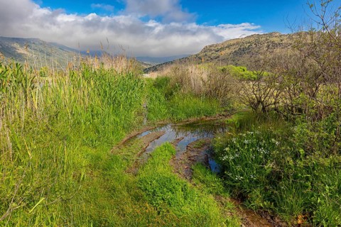 Landscape Greece, islandLesbos, Metochi Lake, river, bird habitat, Lesbos, Greece