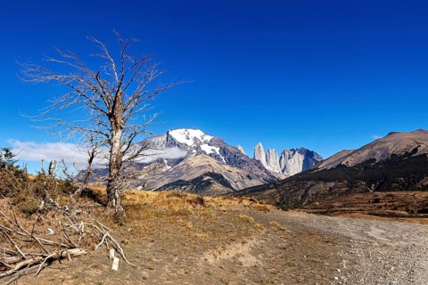 Barren landscape with a tree next to a path and snow-capped mountains, The rock towers of Torres