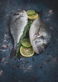 Fresh, raw dorado fish, on a dark blue background, top view, two pieces, no people