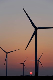 Wind farm, wind power plants, sunset, Reußenköge, North Frisia, Schleswig-Holstein, Germany